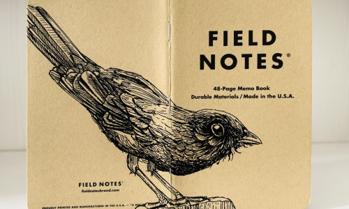 Foto eines stehenden und aufgeklappten Field Notes Heftes. Über den Rücken erstreckt sich die schwarze Tintezeichnung einer Amsel, die nach rechts schaut.