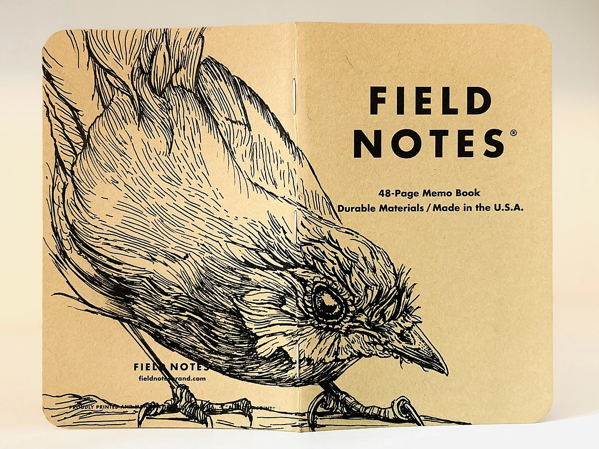 Foto eines stehenden und aufgeklappten Field Notes Heftes. Über den Rücken erstreckt sich die schwarze Tintezeichnung eines Rotkehlchens, das geduckt nach rechts schaut.