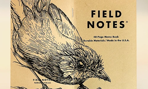 Foto eines stehenden und aufgeklappten Field Notes Heftes. Über den Rücken erstreckt sich die schwarze Tintezeichnung eines Rotkehlchens, das geduckt nach rechts schaut.