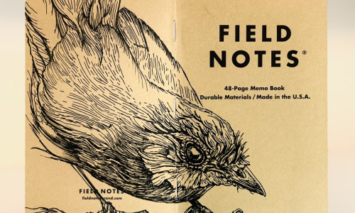 Foto eines stehenden und aufgeklappten Field Notes Heftes. Über den Rücken erstreckt sich die schwarze Tintezeichnung eines Rotkehlchens, das geduckt nach rechts schaut.