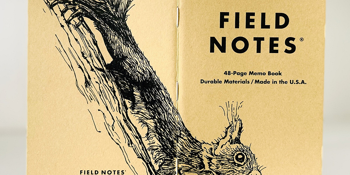 Foto eines stehenden und aufgeklappten Field Notes Heftes. Über den Rücken erstreckt sich die schwarze Tintezeichnung eines kleinen Eichhörnchens, das an einem Baum abwärts klettert und den Kopf nach vorn streckt.
