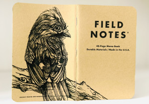 Foto eines stehenden und aufgeklappten Field Notes Heftes. Über den Rücken erstreckt sich die schwarze Tintezeichnung eines Eichelhähers, der etwas aufgeplustert nach rechts schaut.