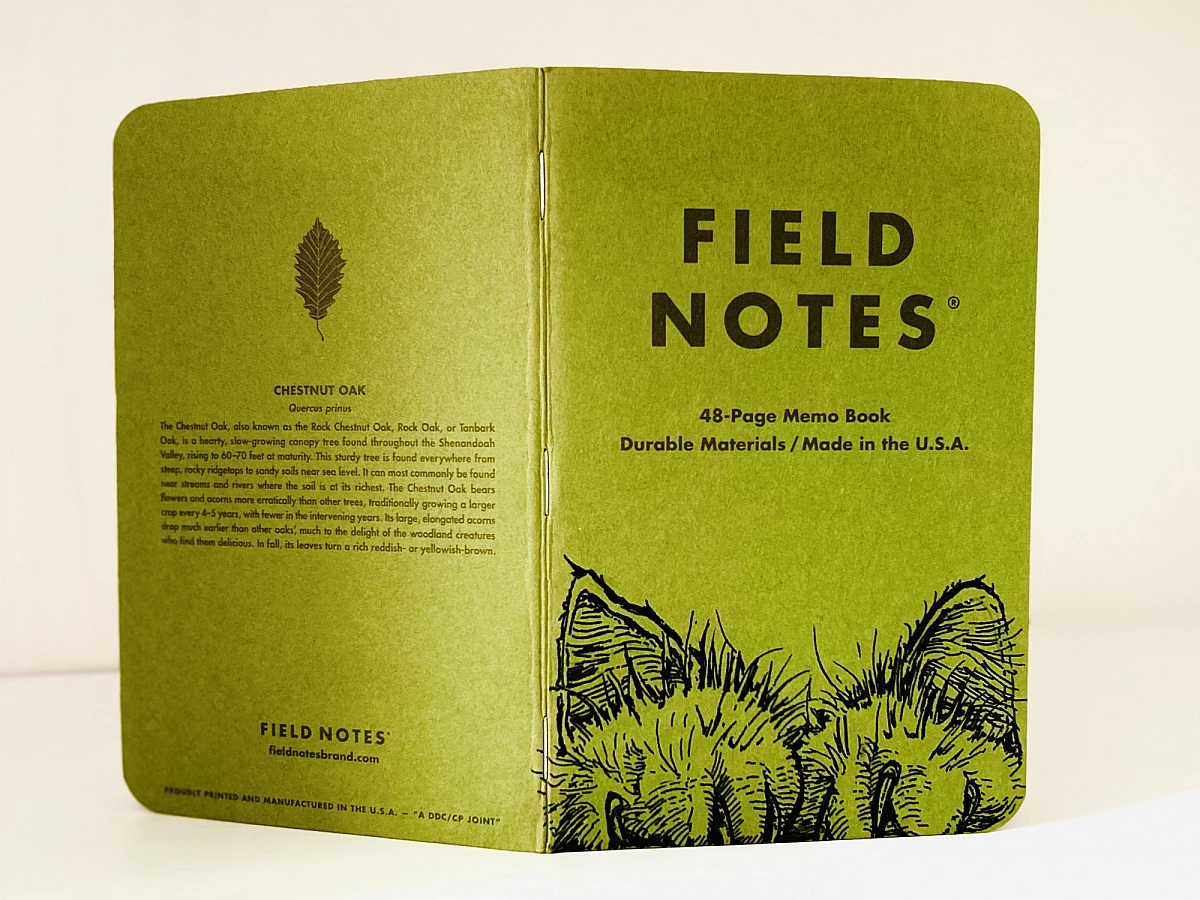 Ein aufrecht stehendes und aufgeklapptes grünes Field Notes Heft, auf dem am unteren rechten Rand zwei haarige Katzenpfoten und dahinter zwei Ohren zu sehen sind.