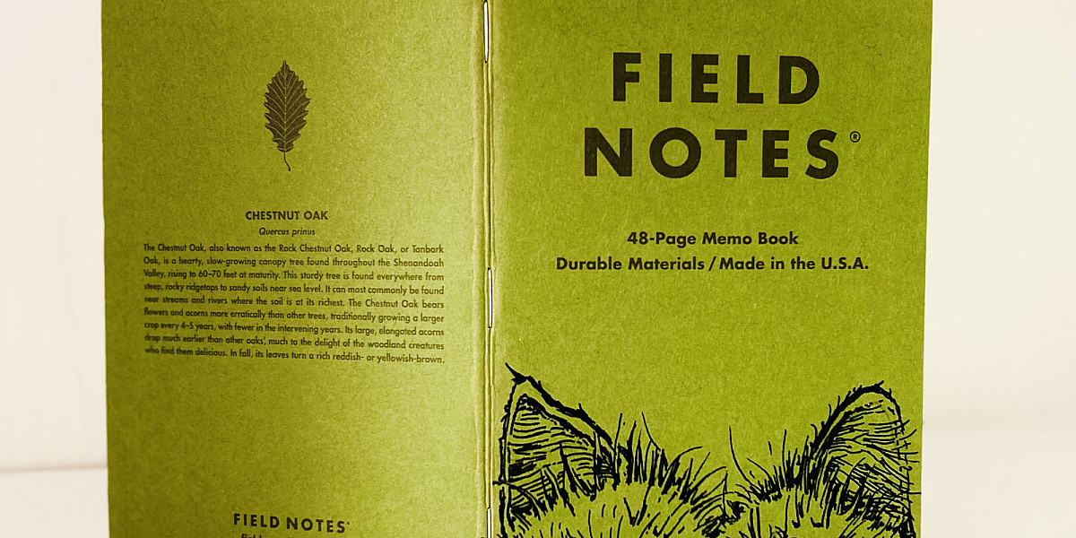 Ein aufrecht stehendes und aufgeklapptes grünes Field Notes Heft, auf dem am unteren rechten Rand zwei haarige Katzenpfoten und dahinter zwei Ohren zu sehen sind.