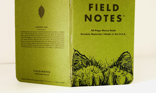 Ein aufrecht stehendes und aufgeklapptes grünes Field Notes Heft, auf dem am unteren rechten Rand zwei haarige Katzenpfoten und dahinter zwei Ohren zu sehen sind.