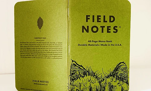 Ein aufrecht stehendes und aufgeklapptes grünes Field Notes Heft, auf dem am unteren rechten Rand zwei haarige Katzenpfoten und dahinter zwei Ohren zu sehen sind.