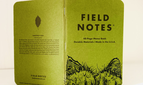 Ein aufrecht stehendes und aufgeklapptes grünes Field Notes Heft, auf dem am unteren rechten Rand zwei haarige Katzenpfoten und dahinter zwei Ohren zu sehen sind.