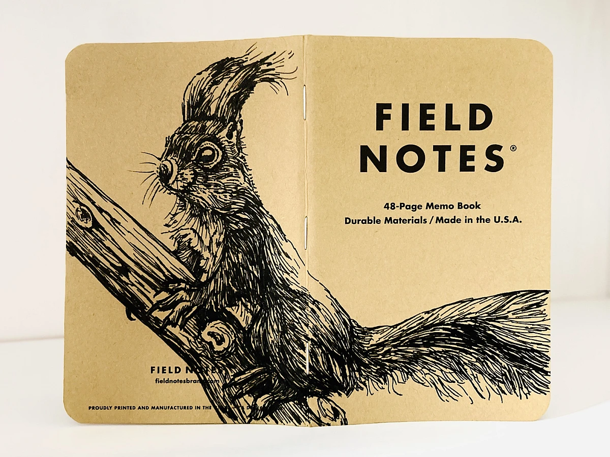 Foto eines aufgeklappten Field Notes Heftes mit Kraft-Papier-Deckel. Die Zeichnung erstreckt sich über den gesamten Buchdeckel und zeigt die detaillierte Illustration eines Eichhörnchens, das auf einem Ast sitzt und aufmerksam aufrecht sitzend nach links schaut.