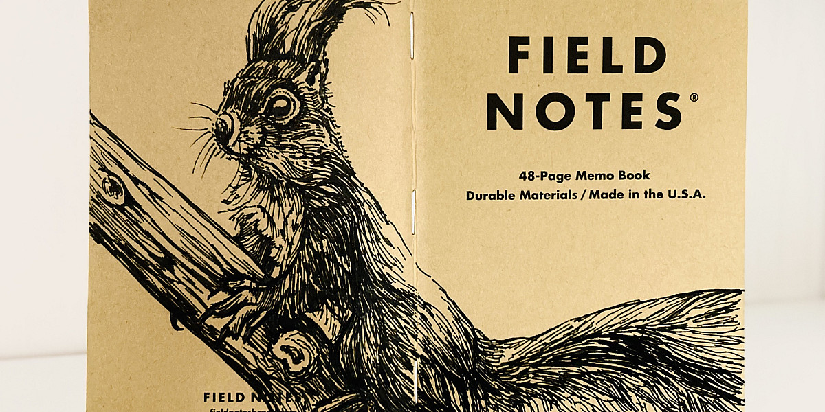 Foto eines aufgeklappten Field Notes Heftes mit Kraft-Papier-Deckel. Die Zeichnung erstreckt sich über den gesamten Buchdeckel und zeigt die detaillierte Illustration eines Eichhörnchens, das auf einem Ast sitzt und aufmerksam aufrecht sitzend nach links schaut.