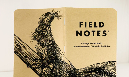 Foto eines aufgeklappten Field Notes Heftes mit Kraft-Papier-Deckel. Die Zeichnung erstreckt sich über den gesamten Buchdeckel und zeigt die detaillierte Illustration eines Eichhörnchens, das auf einem Ast sitzt und aufmerksam aufrecht sitzend nach links schaut.