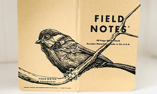 Foto eines stehenden und aufgeklappten Field Notes Heftes. Über den Rücken erstreckt sich die schwarze Tintezeichnung einer kleinen Meise, die auf einem Ast sitzt.