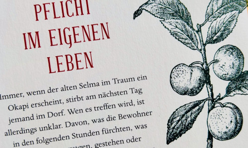 Foto des Buchrückens des Buches "Was man von hier aus sehen kann". Rechts eine gezeichnete Pflanze, links der Text: 
VON DER UNBEDINGTEN
ANWESENHEITS-PFLICHT
IM EIGENEN
LEBEN
immer, wenn der alten Selma im Traum ein Okapi erscheint, stirbt am nächsten Tag jemand im Dorf. Wen es treffen wird, ist allerdings unklar. Davon, was die Bewohner in den folgenden Stunden fürchten, was sie blindlings wagen, gestehen oder verschwinden lassen, handelt dieser Roman.
Vor allem aber erzählt er von Menschen, die alle auf ihre Weise mit der Liebe ringen: gegen Widerstände, Zeitverschiebungen und Unwägbarkeiten - ohne jemals den Mut zu verlieren.
