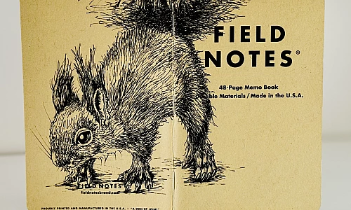 Schwarze Zeichnung eines Eichhörnchens auf bräunlichem Kraft-Papier