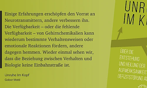 Das Zitat auf grünem Grund: Einige Erfahrungen erschöpfen den Vorrat an Neurotransmittern, andere verbessern ihn. Die Verfügbarkeit – oder die fehlende Verfügbarkeit – von Gehirnchemikalien kann wiederum bestimmte Verhaltensweisen oder emotionale Reaktionen fördern, andere dagegen hemmen. Wieder einmal sehen wir, dass die Beziehung zwischen Verhalten und Biologie keine Einbahnstraße ist.
