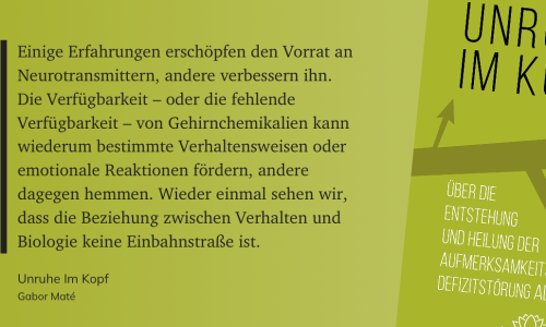 Das Zitat auf grünem Grund: Einige Erfahrungen erschöpfen den Vorrat an Neurotransmittern, andere verbessern ihn. Die Verfügbarkeit – oder die fehlende Verfügbarkeit – von Gehirnchemikalien kann wiederum bestimmte Verhaltensweisen oder emotionale Reaktionen fördern, andere dagegen hemmen. Wieder einmal sehen wir, dass die Beziehung zwischen Verhalten und Biologie keine Einbahnstraße ist.