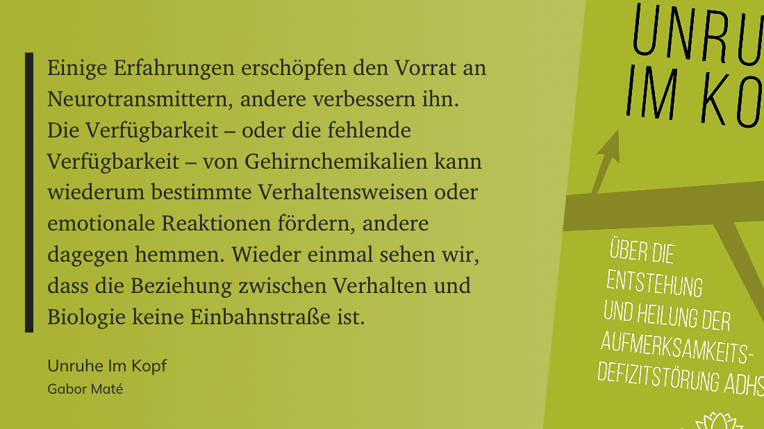 Das Zitat auf grünem Grund: Einige Erfahrungen erschöpfen den Vorrat an Neurotransmittern, andere verbessern ihn. Die Verfügbarkeit – oder die fehlende Verfügbarkeit – von Gehirnchemikalien kann wiederum bestimmte Verhaltensweisen oder emotionale Reaktionen fördern, andere dagegen hemmen. Wieder einmal sehen wir, dass die Beziehung zwischen Verhalten und Biologie keine Einbahnstraße ist.