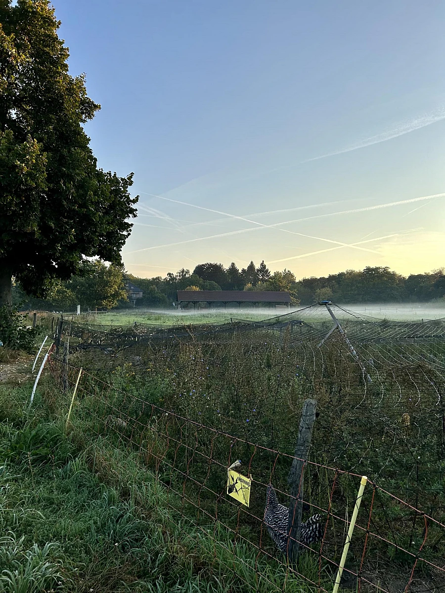 Aus einer Seilbahngondel nach unten fotografiert: Jeans und Sneaker über einer Wiese. Im Hintergrund und Tal Häuser und Felder.