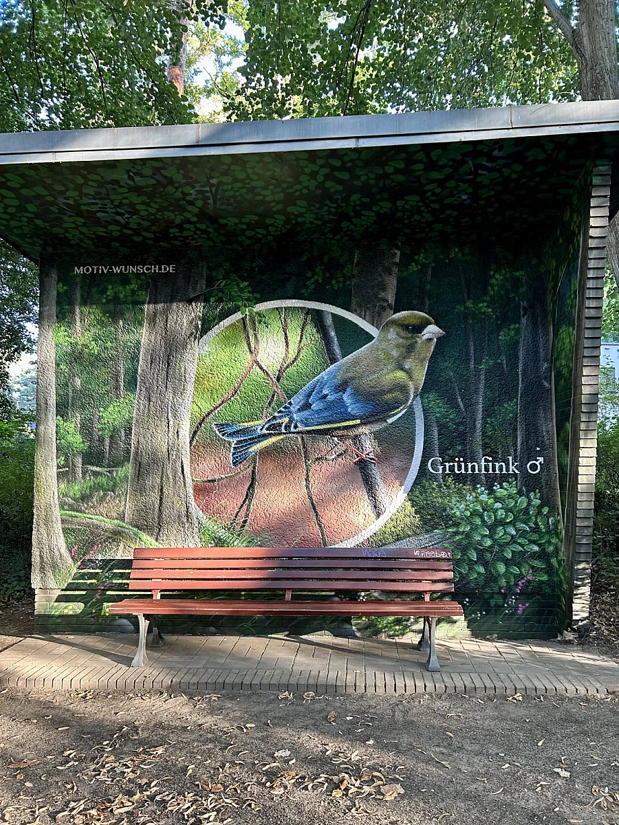 Aus einer Seilbahngondel nach unten fotografiert: Jeans und Sneaker über einer Wiese. Im Hintergrund und Tal Häuser und Felder.
