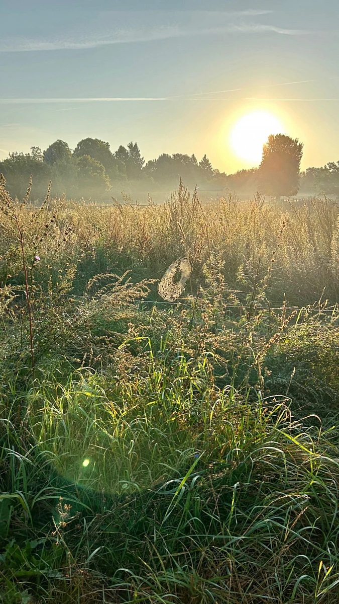 Aus einer Seilbahngondel nach unten fotografiert: Jeans und Sneaker über einer Wiese. Im Hintergrund und Tal Häuser und Felder.