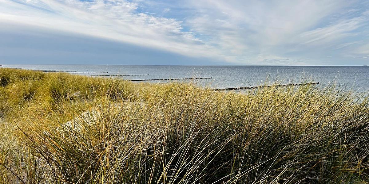 Blick über Strandhafer auf das stille Meer