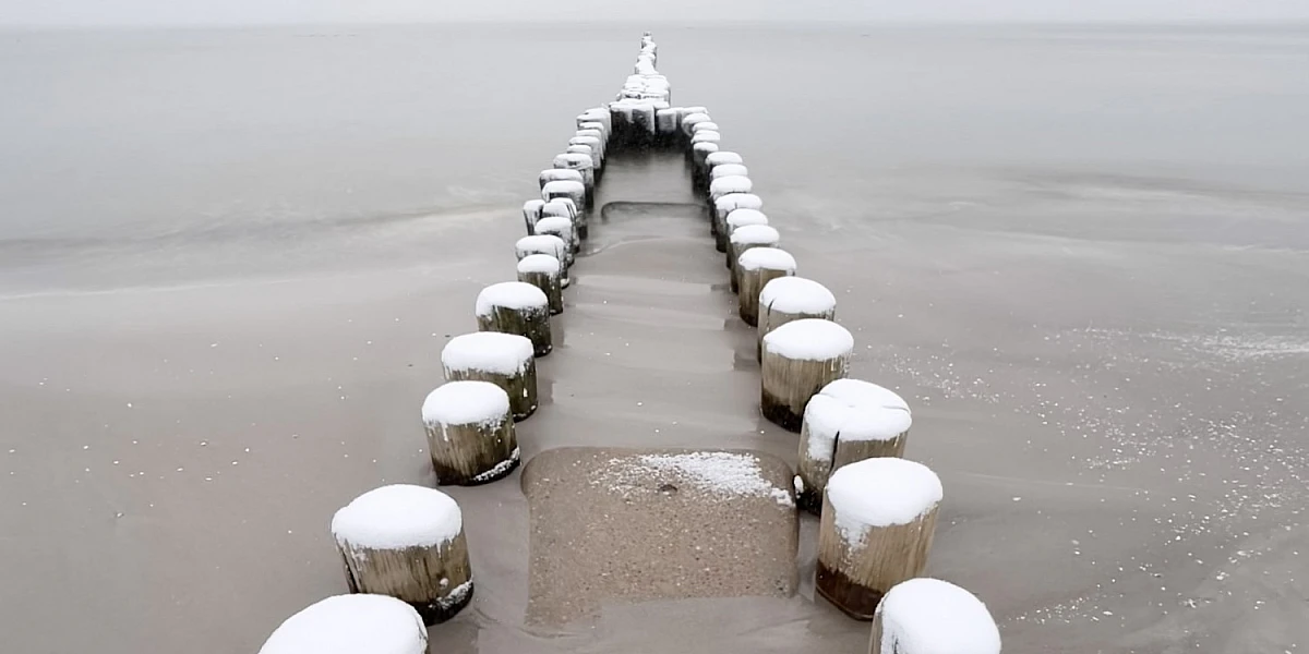 Blick aug eine zweigeteilte Holzbuhne am Strand von Ahrenshoop. Die Stämme tragen Schneehauben.