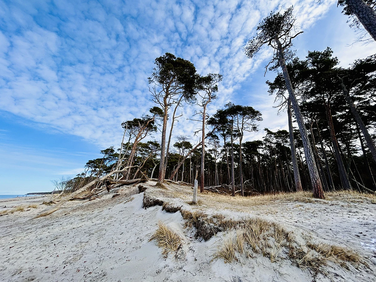 Das Bild ist zweigeteilt. Über dem Horizon der blaue Himmel mit weißen Wolkenstreifen. Im unteren Teil des Bildes das stille blaugrüne Meer und ganz links etwas Sandstrand.