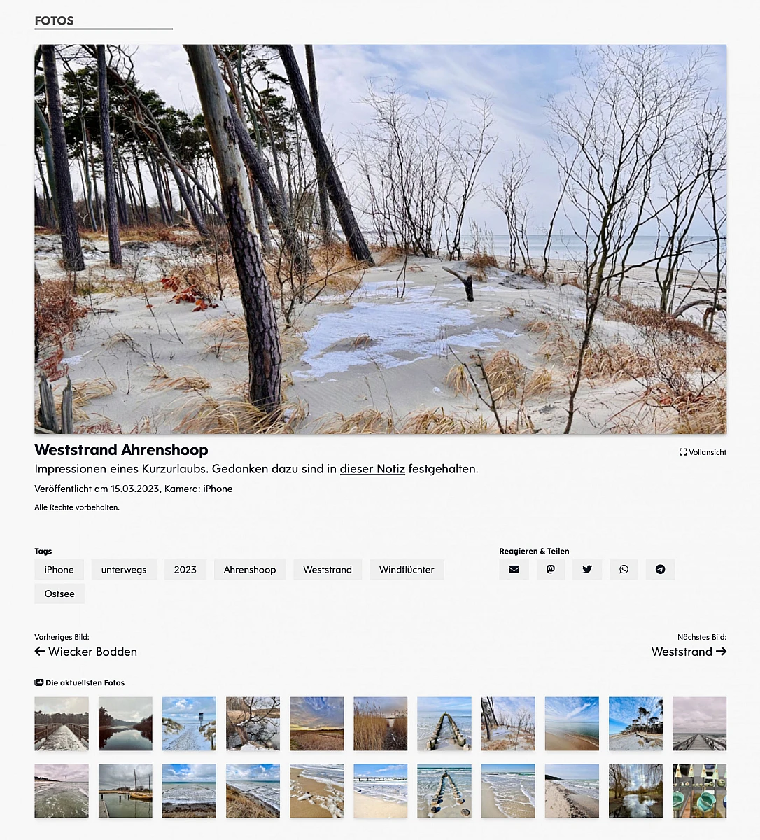 Screenshot der eines Bildes in der Fotogalerie. Das Foto nimmt den oberen Bereich ein. Darunter Informationen, Tags und Möglichkeiten zum Teilen. Darunter die Navigation zu weiteren Fotos. Darunter Thumbnails weiterer aktueller Fotos
