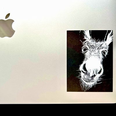 Foto der rechten unteren Ecke eines MacBooks, auf dem der Aufkleber klebt. Der Aufkleber selbst zeigt die weiße Zeichnung eines freundlichen dreinschauenden Esels auf schwarzem Grund.