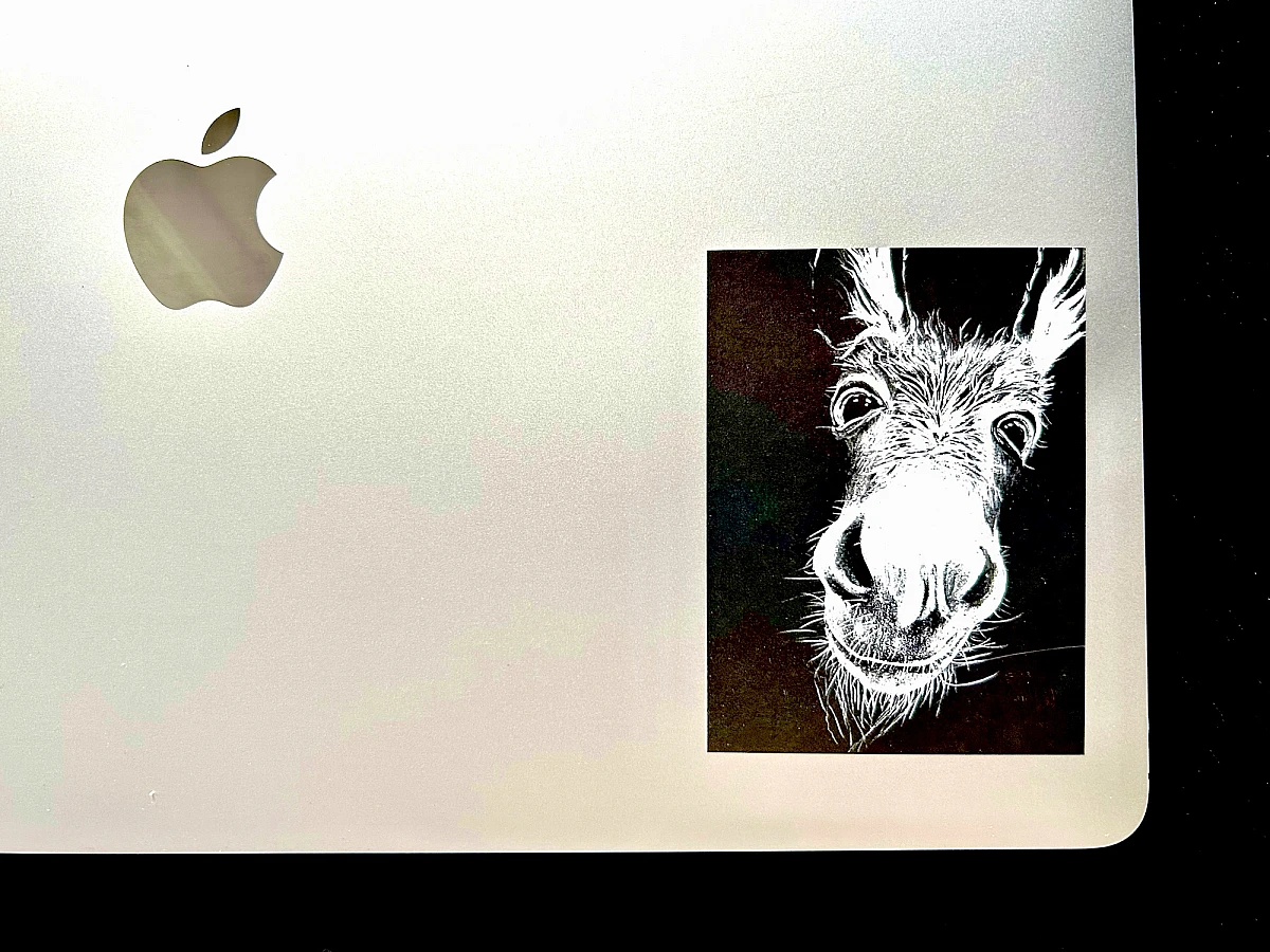 Foto der rechten unteren Ecke eines MacBooks, auf dem der Aufkleber klebt. Der Aufkleber selbst zeigt die weiße Zeichnung eines freundlichen dreinschauenden Esels auf schwarzem Grund.