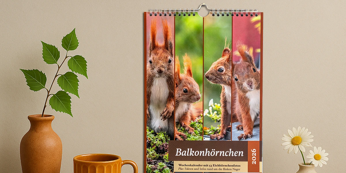 KI generierte Szene: Auf einer Holzunterlage stehen zwei Vasen mit Blumen. Des Weiteren dort vorhanden sind eine Tasse und drei Walnüsse. An einer getönten Wand hängt der Balkonhörnchen-Kalender.