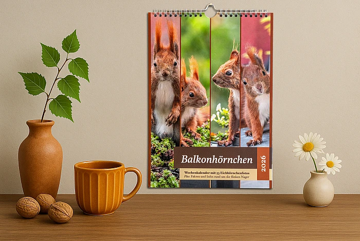 KI generierte Szene: Auf einer Holzunterlage stehen zwei Vasen mit Blumen. Des Weiteren dort vorhanden sind eine Tasse und drei Walnüsse. An einer getönten Wand hängt der Balkonhörnchen-Kalender.