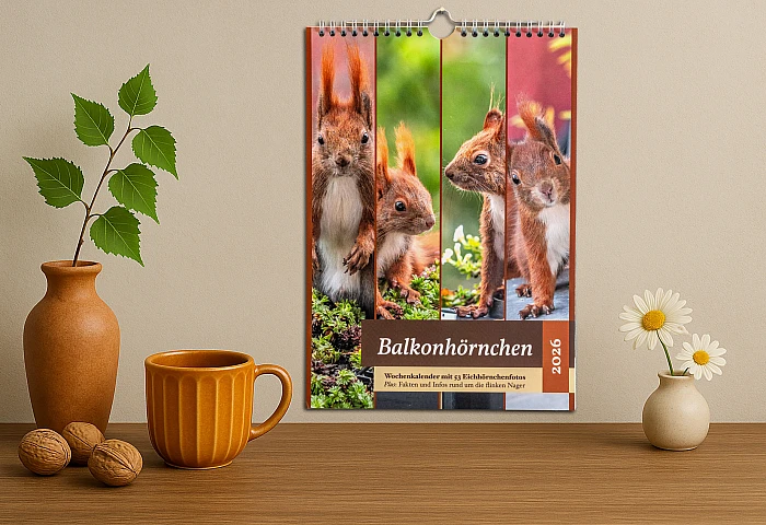 KI generierte Szene: Auf einer Holzunterlage stehen zwei Vasen mit Blumen. Des Weiteren dort vorhanden sind eine Tasse und drei Walnüsse. An einer getönten Wand hängt der Balkonhörnchen-Kalender.