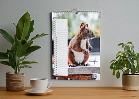 Illustration: Auf einem Tisch stehen Pflanzen und eine Tasse. An der Wand hängt der Kalender.