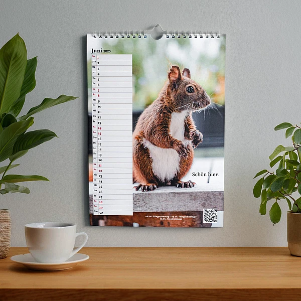 Illustration: Auf einem Tisch stehen Pflanzen und eine Tasse. An der Wand hängt der Kalender.
