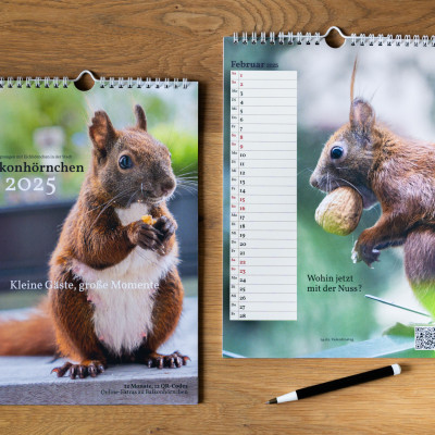 Zwei Kalender auf einer Holztischplatte. Einer aufgeklappt. Daneben ein Kugelschreiber.