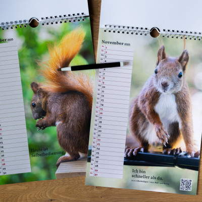 Zwei Kalender auf einer Holztischplatte. Einer aufgeklappt. Daneben ein Kugelschreiber.