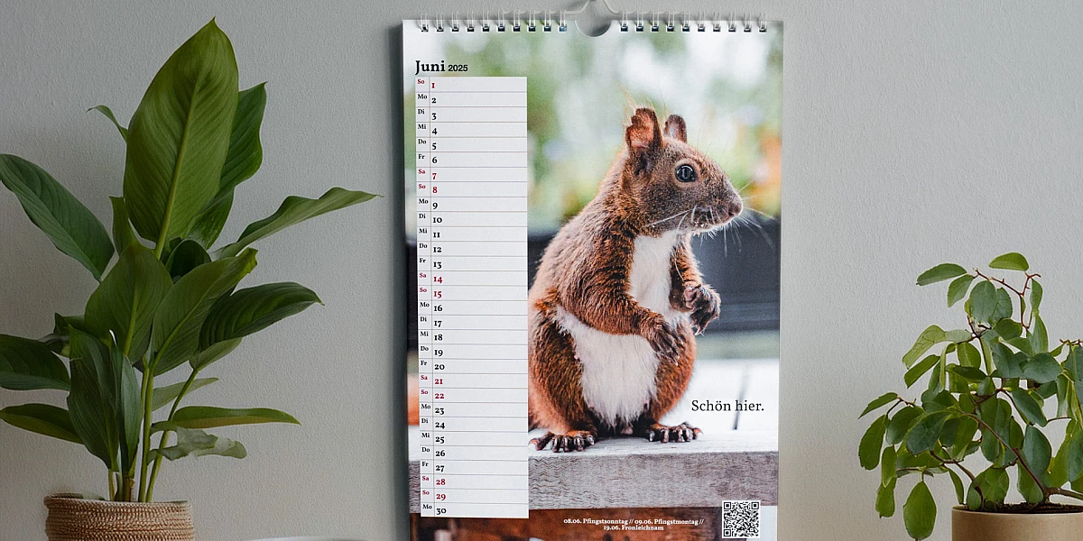 Illustration: Auf einem Tisch stehen Pflanzen und eine Tasse. An der Wand hängt der Kalender.