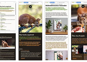 Verschiedene Screenshots der Site