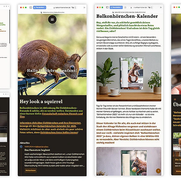 Verschiedene Screenshots der Site
