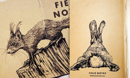 Fotos zweier Field Notes übereinander. Zu sehen sind ein Eichhörnchen und ein Hase.