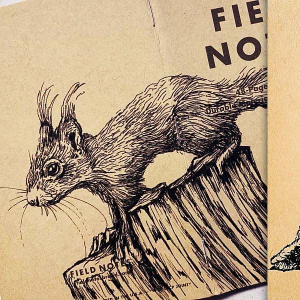 Fotos zweier Field Notes übereinander. Zu sehen sind ein Eichhörnchen und ein Hase.