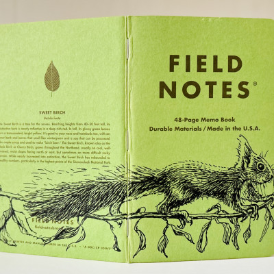 Ein grünes Notizbuch steht aufgeklappt auf einer hellen Oberfläche. Über den Rücken erstreckt sich die Zeichnung eines Eichhörnchens, das auf einem Ast läuft.