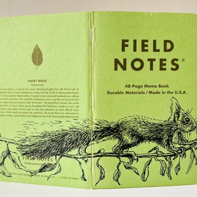 Ein grünes Notizbuch steht aufgeklappt auf einer hellen Oberfläche. Über den Rücken erstreckt sich die Zeichnung eines Eichhörnchens, das auf einem Ast läuft.