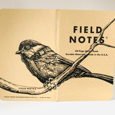 Foto eines stehenden und aufgeklappten Field Notes Heftes. Über den Rücken erstreckt sich die schwarze Tintezeichnung einer kleinen Meise, die auf einem Ast sitzt.