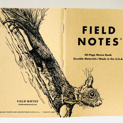 Foto eines stehenden und aufgeklappten Field Notes Heftes. Über den Rücken erstreckt sich die schwarze Tintezeichnung eines kleinen Eichhörnchens, das an einem Baum abwärts klettert und den Kopf nach vorn streckt.