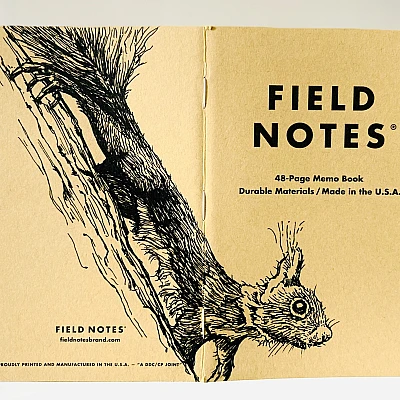 Foto eines stehenden und aufgeklappten Field Notes Heftes. Über den Rücken erstreckt sich die schwarze Tintezeichnung eines kleinen Eichhörnchens, das an einem Baum abwärts klettert und den Kopf nach vorn streckt.
