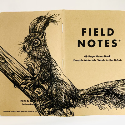 Foto eines aufgeklappten Field Notes Heftes mit Kraft-Papier-Deckel. Die Zeichnung erstreckt sich über den gesamten Buchdeckel und zeigt die detaillierte Illustration eines Eichhörnchens, das auf einem Ast sitzt und aufmerksam aufrecht sitzend nach links schaut.