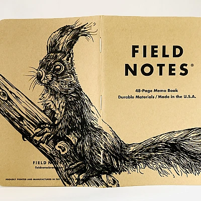 Foto eines aufgeklappten Field Notes Heftes mit Kraft-Papier-Deckel. Die Zeichnung erstreckt sich über den gesamten Buchdeckel und zeigt die detaillierte Illustration eines Eichhörnchens, das auf einem Ast sitzt und aufmerksam aufrecht sitzend nach links schaut.
