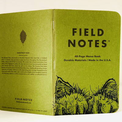 Ein aufrecht stehendes und aufgeklapptes grünes Field Notes Heft, auf dem am unteren rechten Rand zwei haarige Katzenpfoten und dahinter zwei Ohren zu sehen sind.