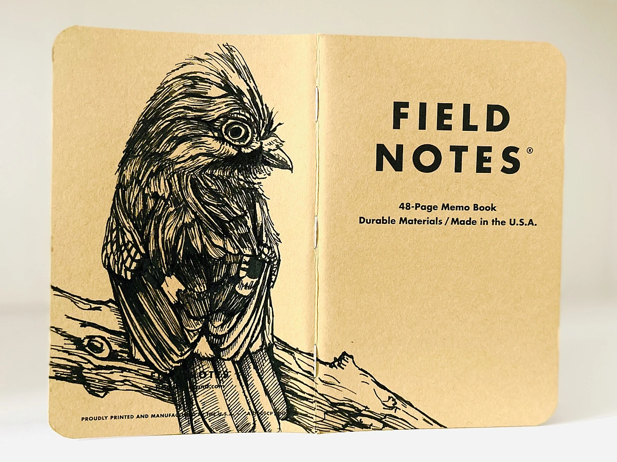 Foto eines stehenden und aufgeklappten Field Notes Heftes. Über den Rücken erstreckt sich die schwarze Tintezeichnung eines kleinen Eichhörnchens, das an einem Baum abwärts klettert und den Kopf nach vorn streckt.